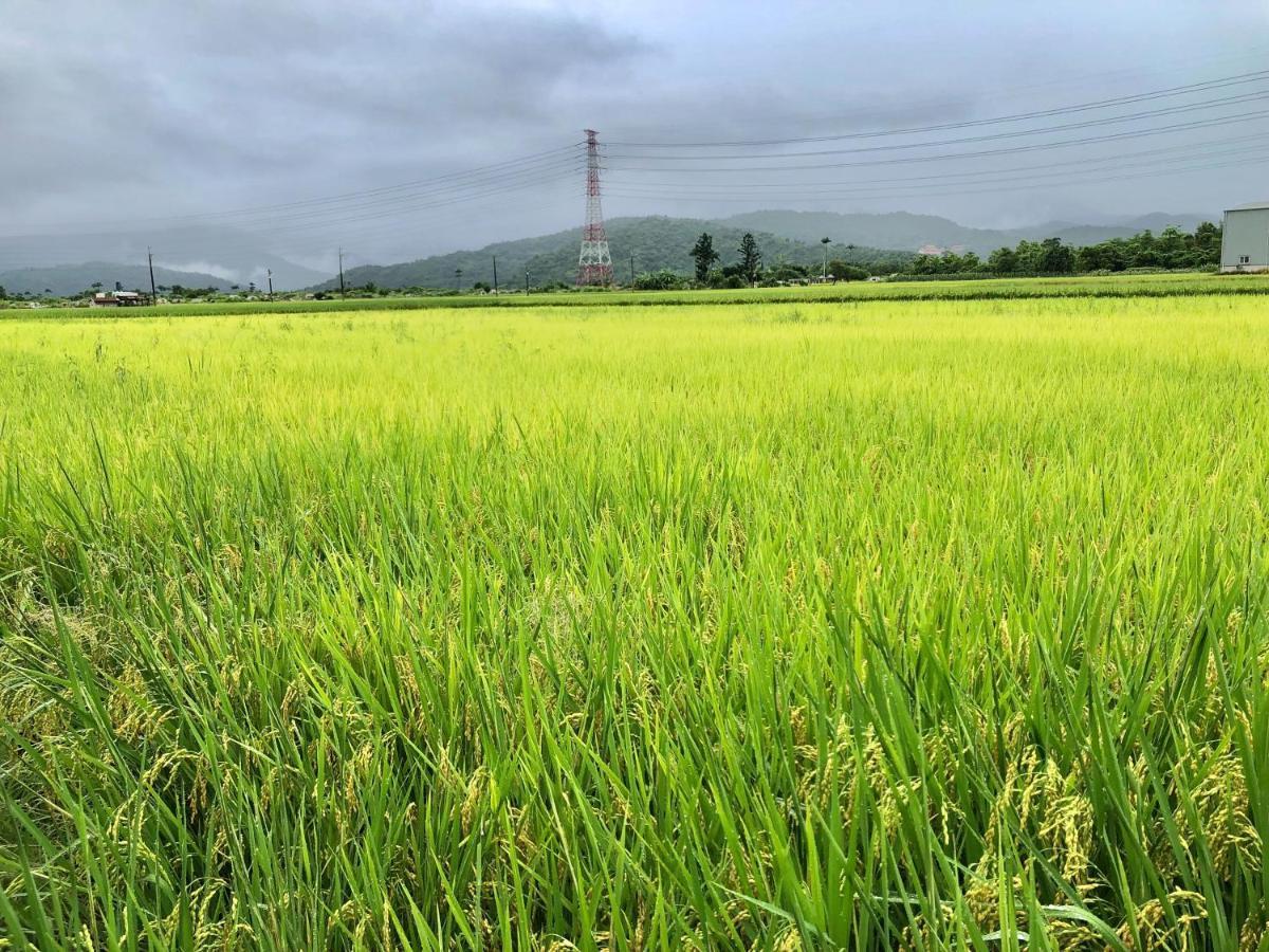 Fairy Story Village Farm B&B Dongshan  Dış mekan fotoğraf